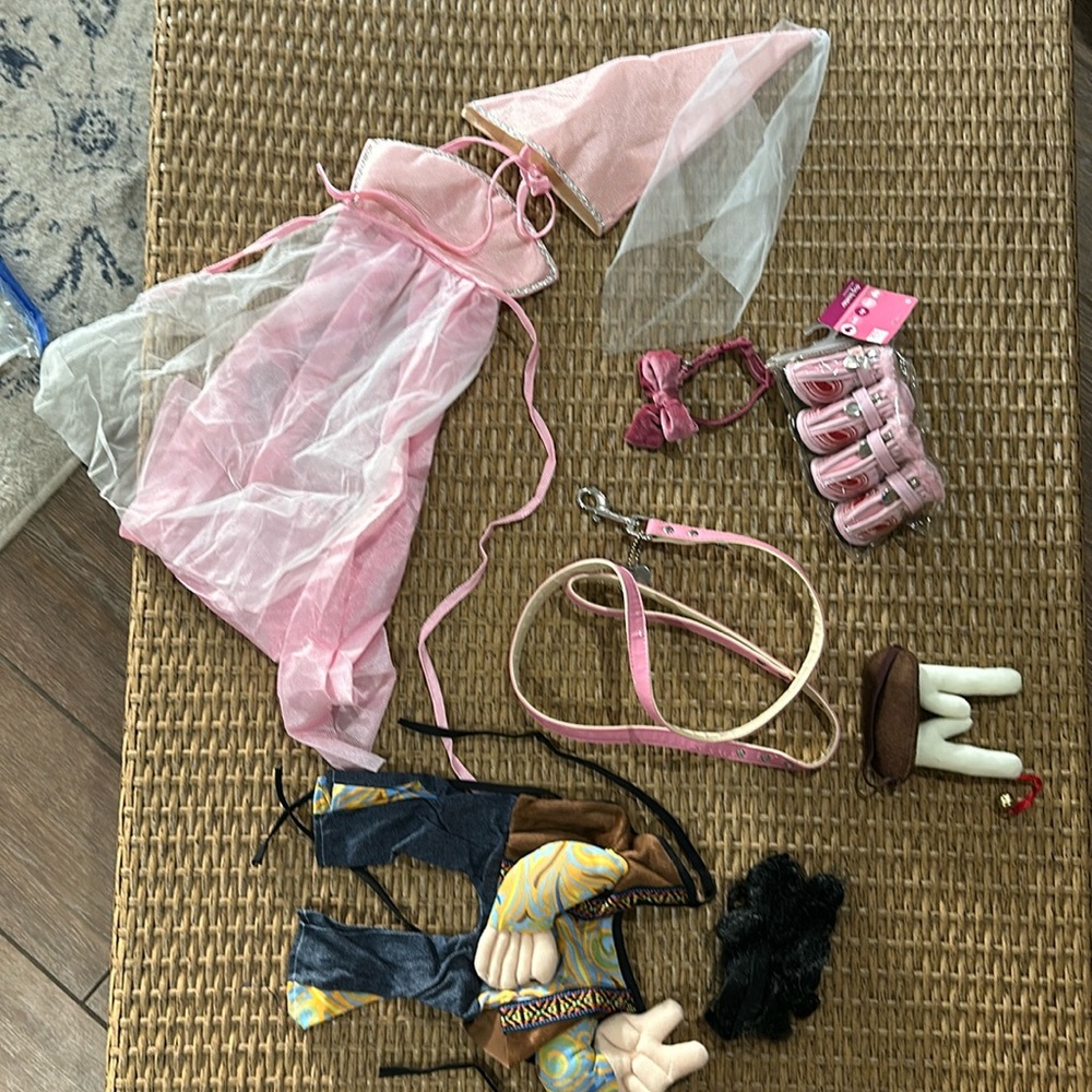 Teacup, puppy costume, bundle, leash, dog booties